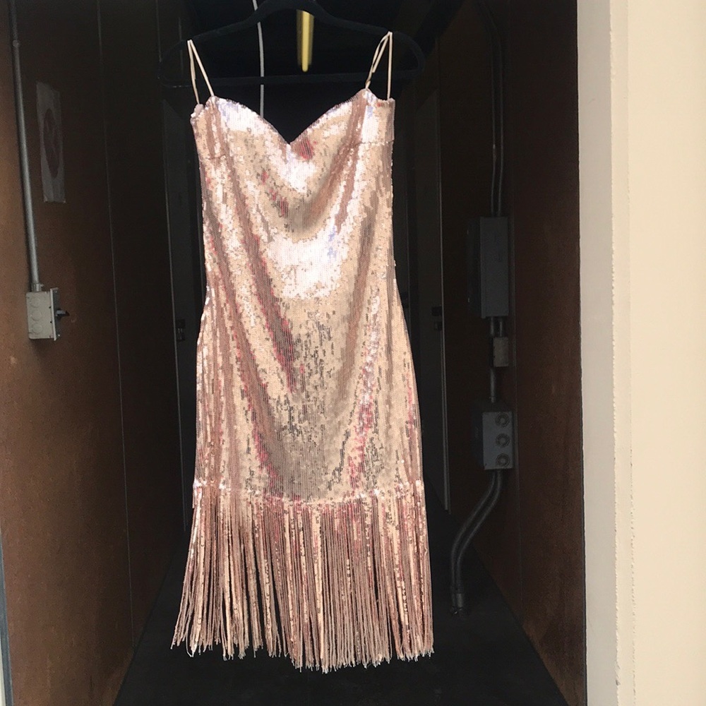 Sequined Rose Gold Fringe Dress